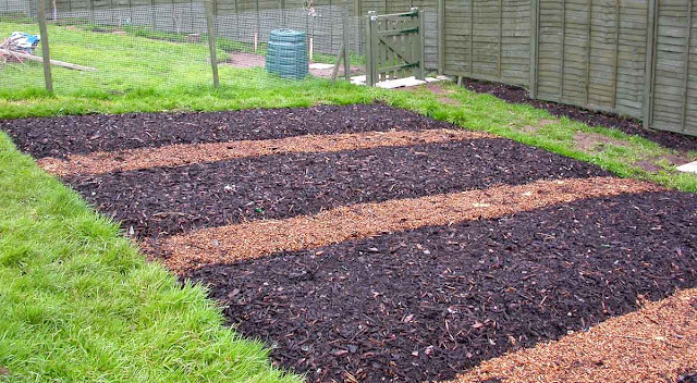 A lighter bark mulch is laid to mark the paths.