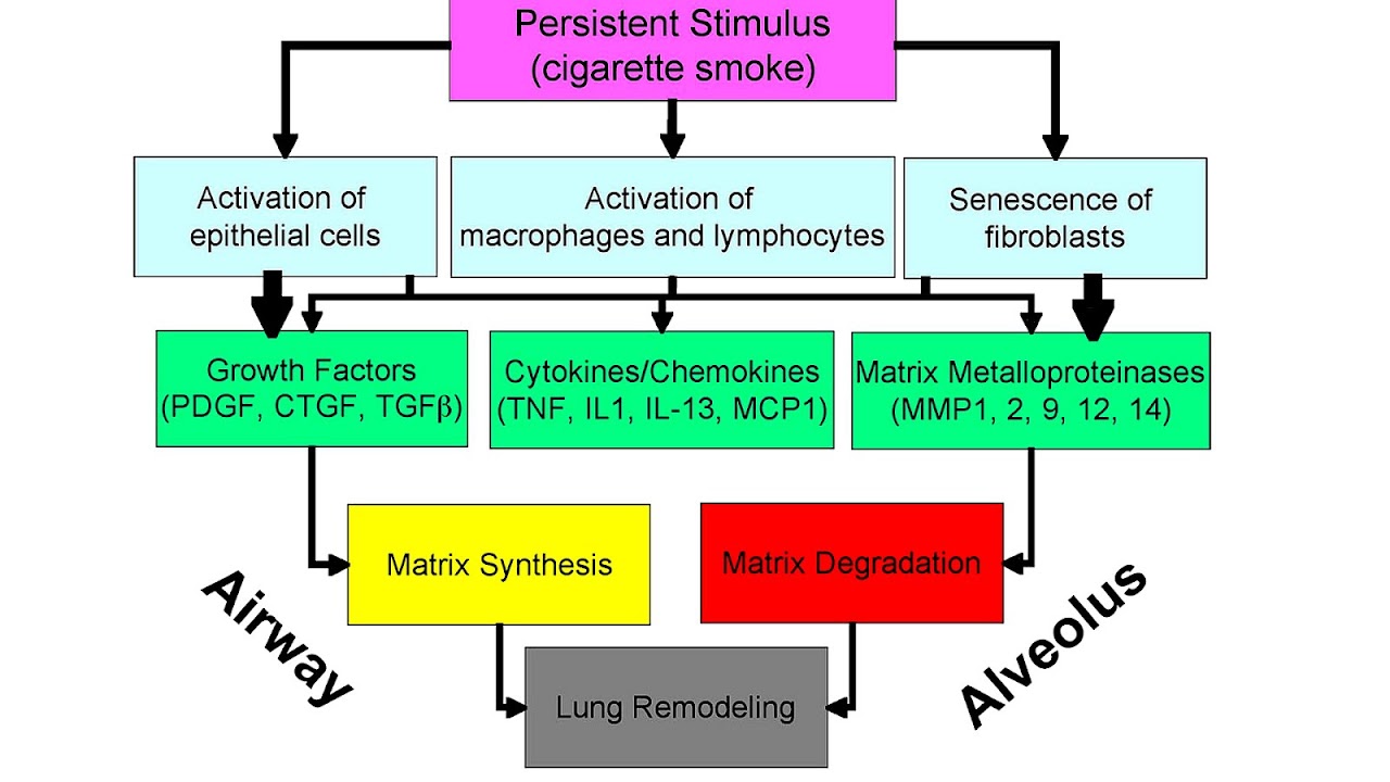 Effect of oxygen on chronic obstructive pulmonary disease