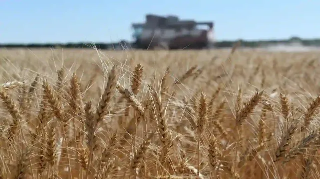 روسيا: تم تمديد صفقة الحبوب لمدة 60 يومًا
