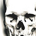 Human Skull - Human Skull Pictures