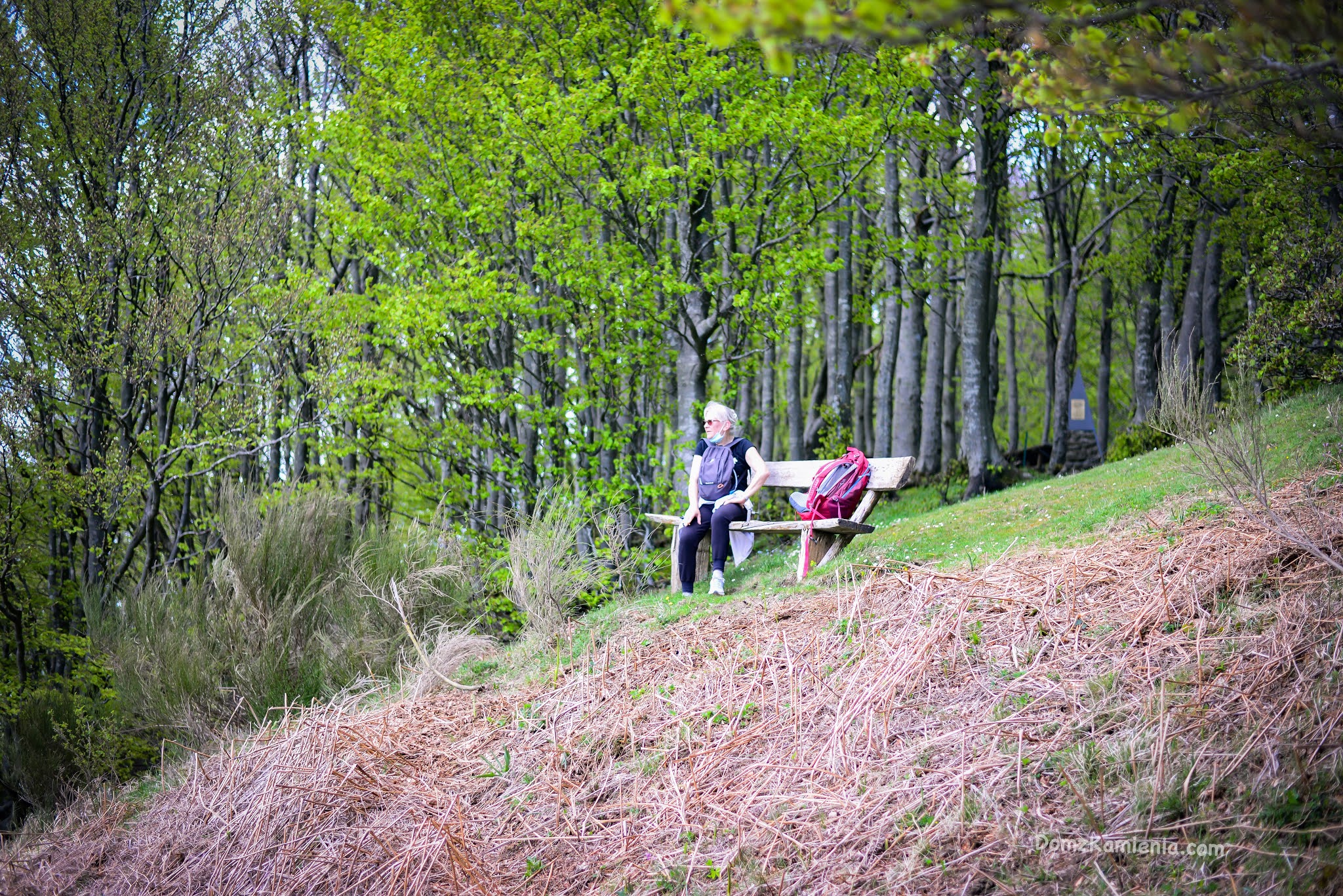 Trekking Toskania, monte Lavane, Marradi, blog Dom z Kamienia