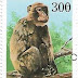 1998 - Guiné - Macaca fascicularis