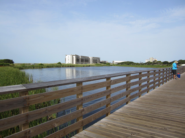 Gulf State Park trail