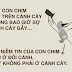 Hãy tin vào Chính bản thân mình