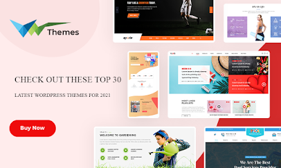 WordPress Themes