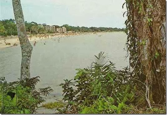 clip_image001