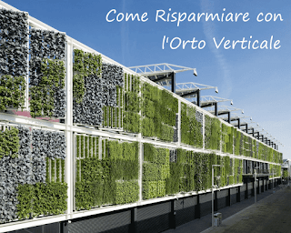 Come Risparmiare con l'Orto Verticale