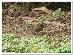 20111211_131328_092_BeiTou43