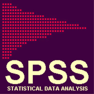 SPSS VERİ ANALİZİ ÖRNEKLERİ