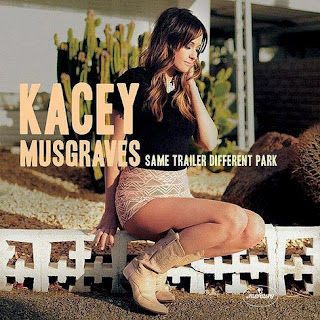 follow-your-arrow-kacey-musgraves-terjemahan