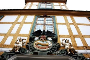 IMG_1226