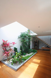 contoh desain taman minimalis dalam rumah