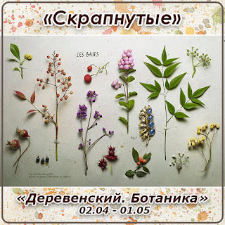 http://skrapnutyie.blogspot.ru/2016/04/0204-0105.html