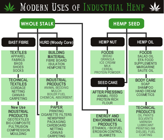 Image result for modern day usage for hemp chart pictures