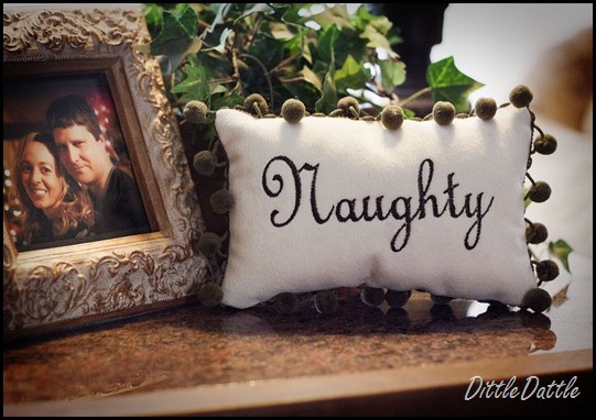 nice and naughty embroidered pillow