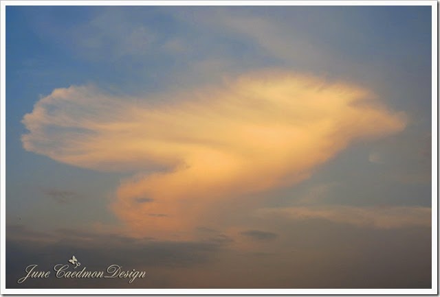 Cloud_Stack