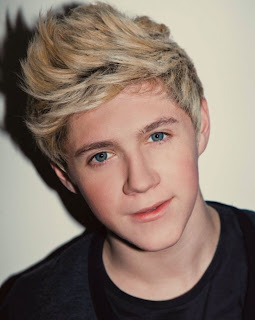 Niall Horan One Direction