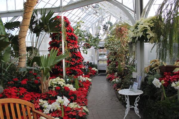 Flowers abound inside Seymour Botanical Conservatory in Tacoma, Washington.