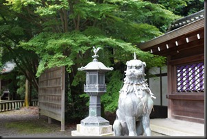 DSC05197