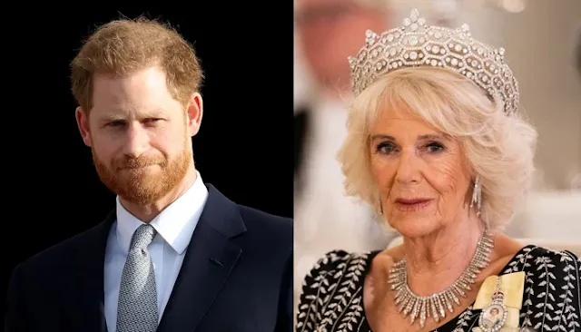 Furious Queen Camilla's Ultimate Move: Two Words That Put Puppet Prince Harry in His Place