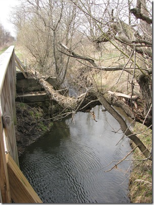 Spring2011BikeRide 010