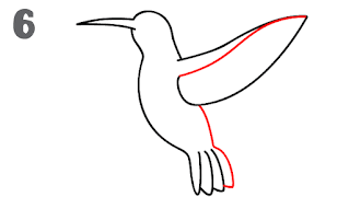 كيفية رسم الطائر الطنان