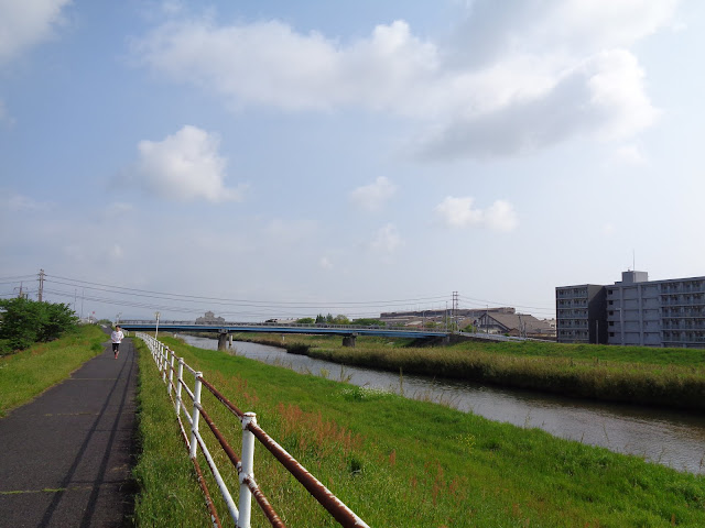 伯太川を上流に歩きます