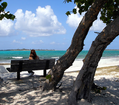 Woman sitting on bench under seagrape tree by the sea.