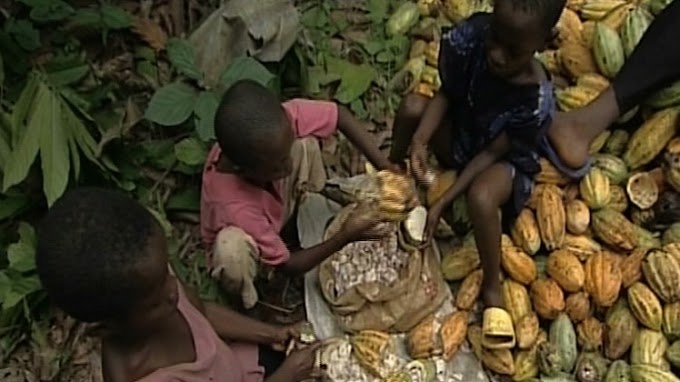 Child Labour: Growing Phenomenon in Cameroon