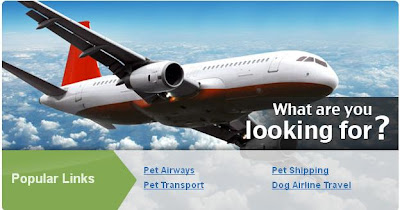 Pet Airways, Maskapai penerbangan khusus hewan piaraan pertama di dunia