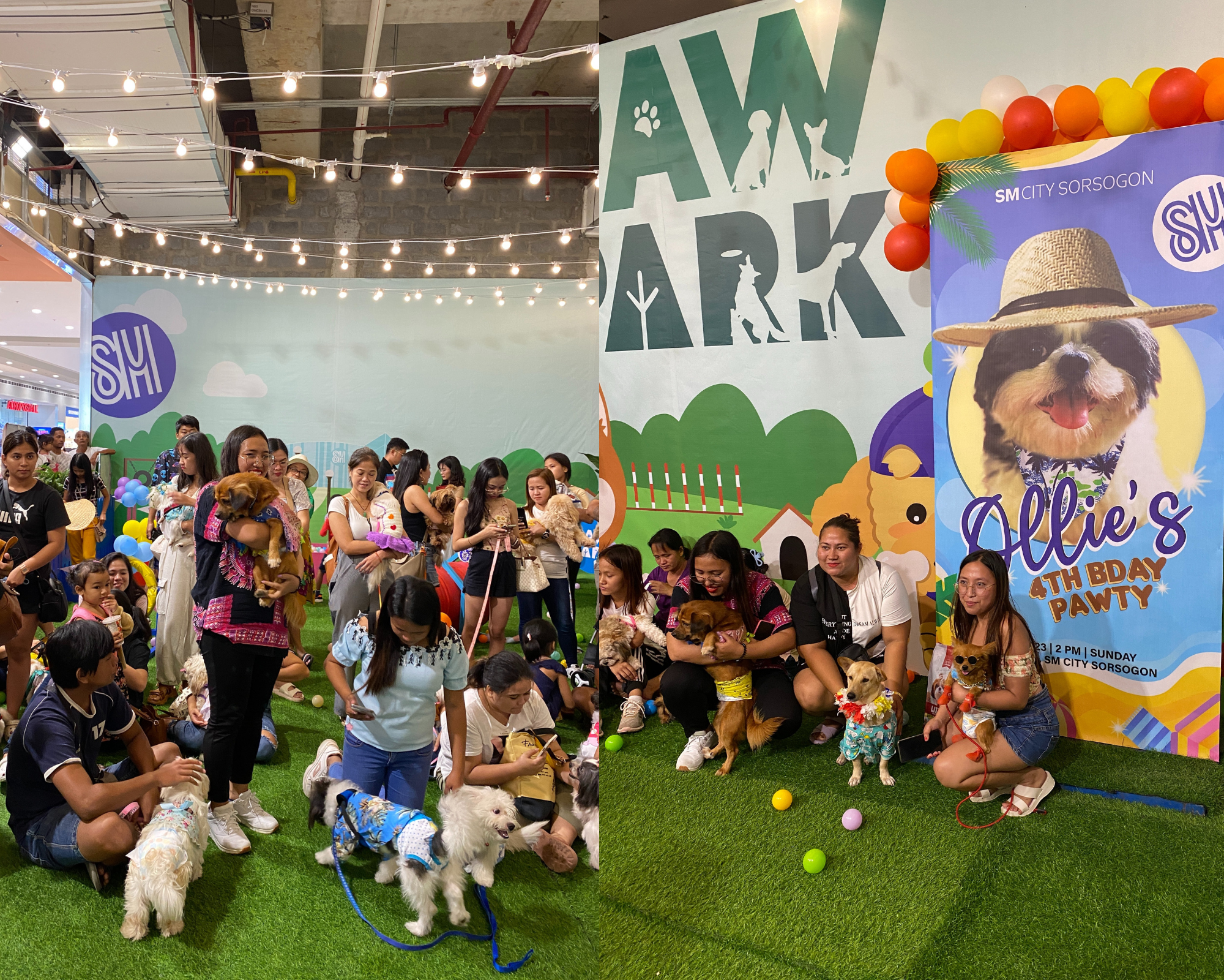 sm super pets blog birthday party for dogs