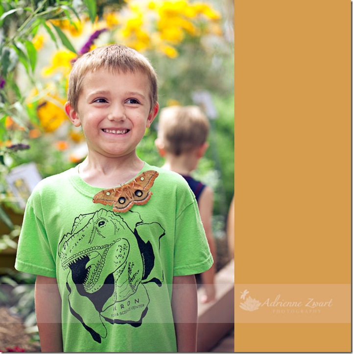 Ethan and the Polyphemus boy isn't too sure about Polyphemus moth hanging on his shirt