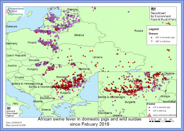 African Swine Fever Now In Eastern Europe