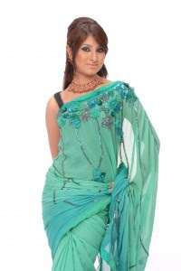 Anika Kabir Shokh Blog Posts, bangladeshi model anika kabor shokh scandal news, Anika Kabir Shokh wallpaper in sari, 