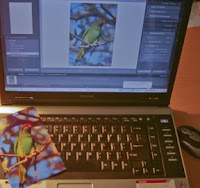 matching sceen and printed colours is a challenege for a lot of software, the colours match better than tis photo shows