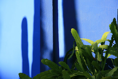 jardin majorelle marakech