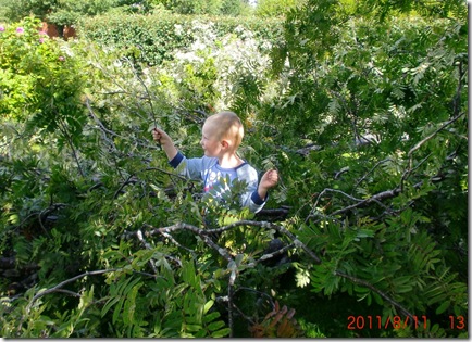 Augusti- September 2011 006