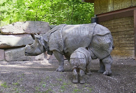 Javan Rhinoceros