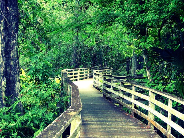 corkscrew boardwalk