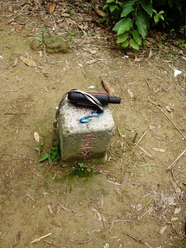 2014_0426 獅頭山古道連走猿山賞油桐花_0050