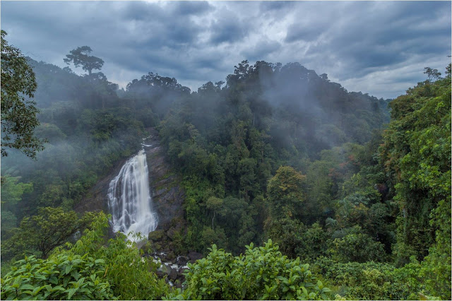 Why Munnar – A place worth visiting?