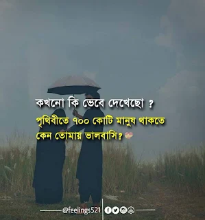 Bengali Romantic Quotes