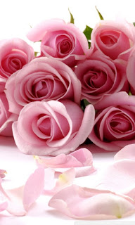 What Does the Color of Your Valentine's Day Roses Say? - ProFlowers