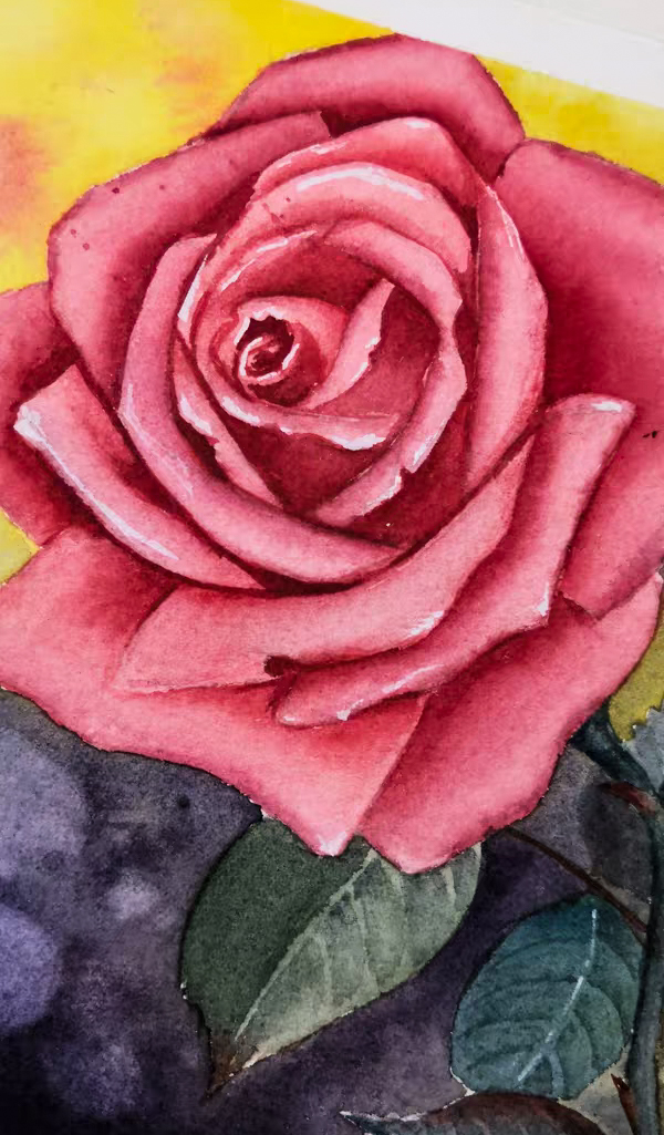 What is watercolor history? How to choose Watercolor paper？How to draw a watercolor rose? come to see my online class