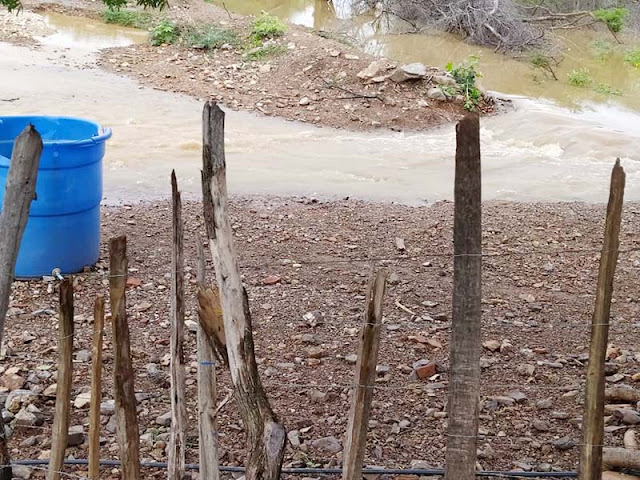 ¡UNA VEZ MÁS! MORUCHE Y ALEMÁN BAJO EL AGUA