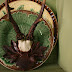 Show And Tell:  Taxidermy Finds