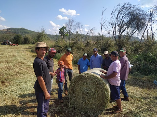 Iretama: IDR-Paraná orienta Produtores de leite de Iretama no processo de Pré secado e Fenação