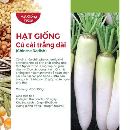 Hạt giống Củ cải trắng dài 311AQ