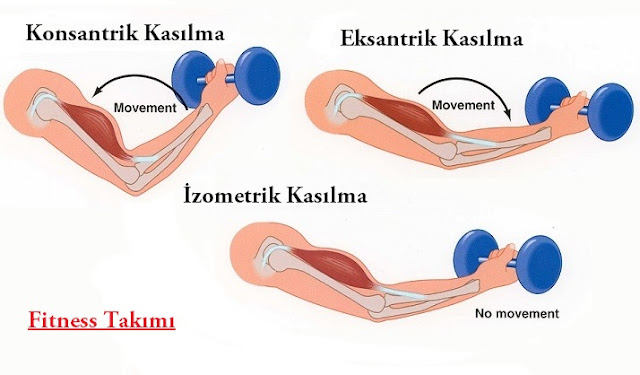 fitness takımı