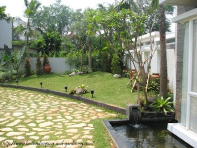 Tropical style garden pictures